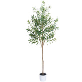 Sillaff Olive Tree 6ft with pot shows realistic leaves and branches for living room decor.
