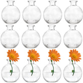 SOUJOY mini round glass bud vase, perfect for petite floral accents on any table