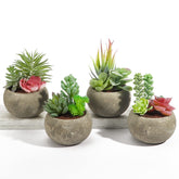 SPEPLA artificial succulents in pots add vibrant, low-maintenance home decor.