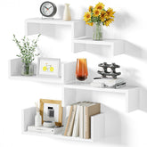 SRIWATANA floating shelves on white wall showing organized photo and plant display.