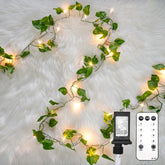 Suddus vine with fairy light plugged in for cozy bedroom ambiance.