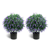 Sunnyglade lavender topiary ball two-pack for indoor and outdoor decor