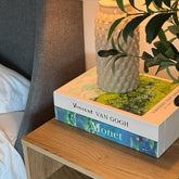 TastePick GoghMonet book-box front view keeps cables tidy on desks