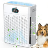 TeraAire air purifier in living room showing broad coverage and clean air circulation