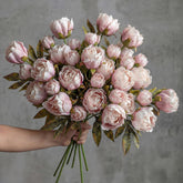 Thiccywoov 12-piece peony stems bulk for voluminous DIY bouquets.