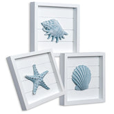 Tide and Tales blue seashells starfish 3D wall art adds coastal charm to any room.
