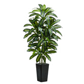 TNGGNT six-foot dracaena tree adds a lush living room focal point