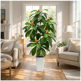 TNGGNT loquat tree stands 5ft tall in a white pot for stylish indoor display.
