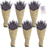 TOMOON dried lavender bouquet with 14-17 inch stems for elegant home decor and subtle fragrance.