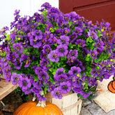 trytuny artificial flowers outdoor porch purple with UV resistance and easy maintenance.