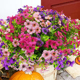 Trytuny outdoor artificial flowers in porch setting with UV-resistant color.