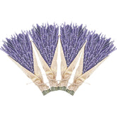 Uieke four-pack dried lavender bundles ready for elegant home display and fragrance