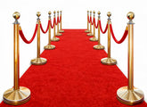 Uimiduosoy red carpet runner 3x10ft for elegant aisle decoration and event flair.