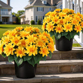 VIERENA dahlia topiary closeup with vibrant silk petals for elegant outdoor dΓ©cor
