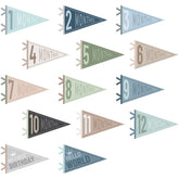 VitalCozy milestone pennants in ocean color for monthly photos