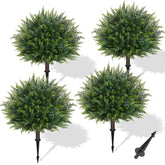 Waipfaru cedar topiary with ground spike for outdoor setup.