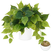 Waipfaru faux plants in ceramic pot add modern greenery to living spaces.