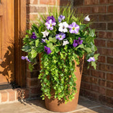 Waipfaru petunias artificial outdoor flower in purple and white for easy porch decor
