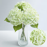Waipfaru real touch hydrangea flowers with three heads for full centerpieces