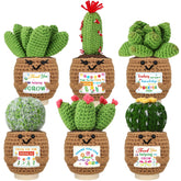 Wavwavw teacher appreciation succulent 6-pack with card for desk display.