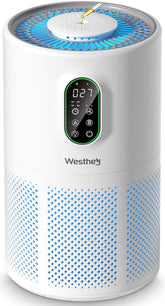 WESTHEY AP02 front view highlighting 360Β° intake for large-room purification
