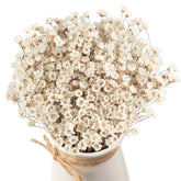WILLBOND 500-piece natural dry flowers daisies for elegant wedding decor.