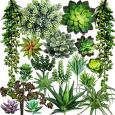 Winlyn 19-piece succulents collection close-up of green leaves for maintenance-free decor.
