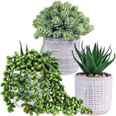 Winlyn artificial succulents aloe pearls hops on a desk for low-maintenance decor