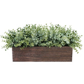 Winlyn eucalyptus in a rectangular planter adds rustic farmhouse charm.