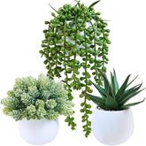 Winlyn aloe artificial succulent in a white concrete pot adds a fresh focal point to shelves.