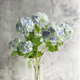 YalzoneMet snowball viburnum with two heads on a long stem for centerpieces.