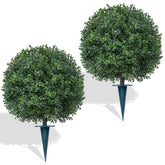 Yangrass boxwood ball topiary with lush dense leaves for outdoor decor.
