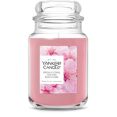 Yankee Candle Enchanted Cherry Blossoms jar releasing blooming florals for a fresh room fragrance.