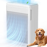 YARIKI P280 in a living room reduces pet hair and dander for a fresher space
