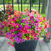 Yastouay 24bundles outdoor flowers in fuchsia and rose for vibrant fade-free garden decor