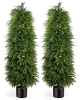 YEMMEN cedar topiary 5ft for outdoor use adds lush greenery to your porch