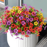 ZFProcess 12-bundle outdoor flowers for vibrant porch and garden decor