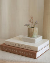 ZICOTO decorative books on a coffee table enhancing sophisticated living room ambiance.