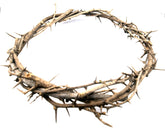 Zuluf Crown of Thorns ornament front view for home display