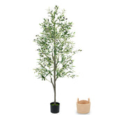 Zynaro 6ft olive tree with lifelike leaves creates a natural living room focal point.