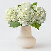 ZYTUYO hydrangea ivory white flower head close-up for elegant decor