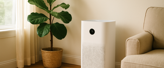 Air purifier in a bright living room
