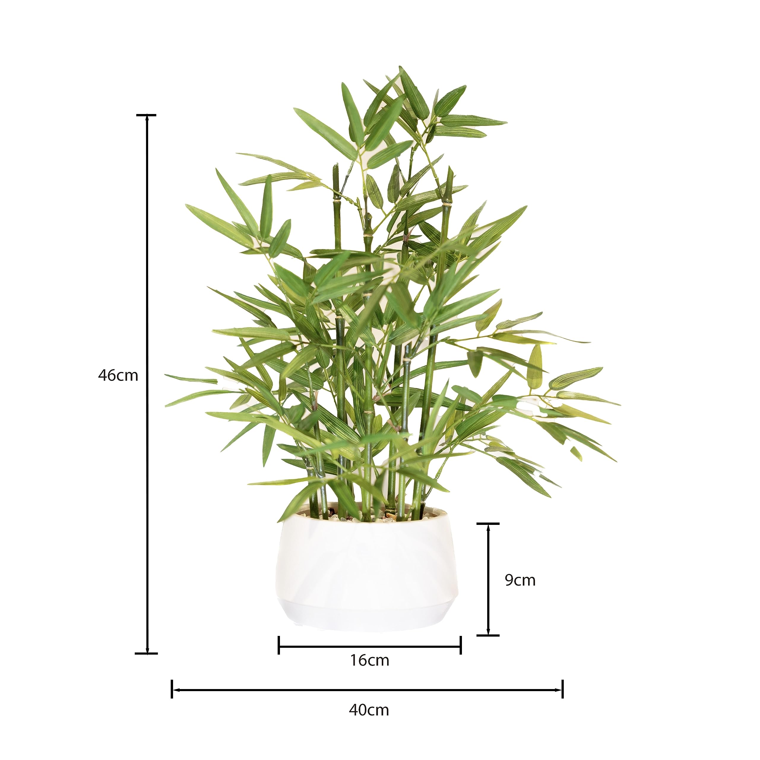 365 Blooming Decor bamboo close-up leaves in white pot for lifelike realism