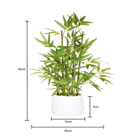 365 Blooming Decor bamboo close-up leaves in white pot for lifelike realism