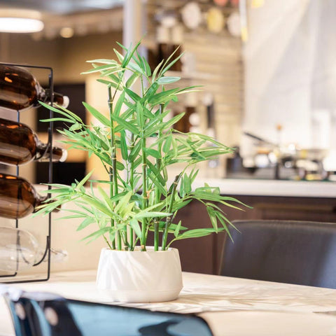 365 Blooming Decor bamboo trunk detail showing natural texture in white pot