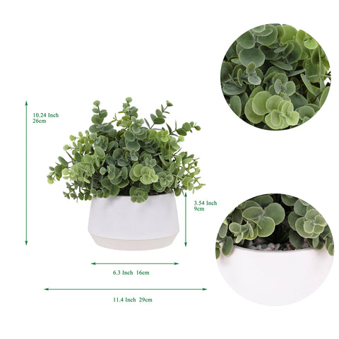 365 Blooming Decor eucalyptus plant in white textured pot highlighting farmhouse charm.