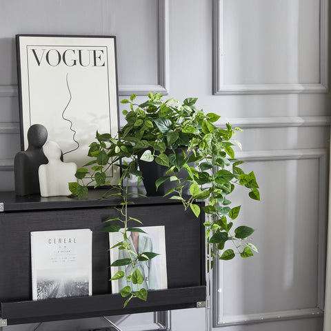 365 Blooming Decor Pothos Ivy on outdoor patio with weather-ready leaves.
