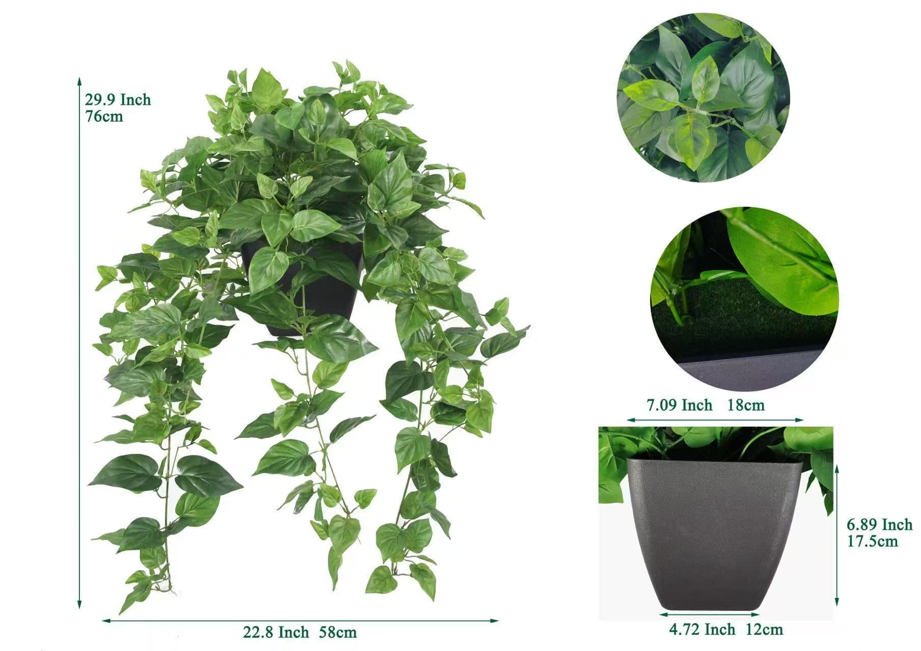 365 Blooming Decor Pothos Ivy in a modern black pot, ready to display.