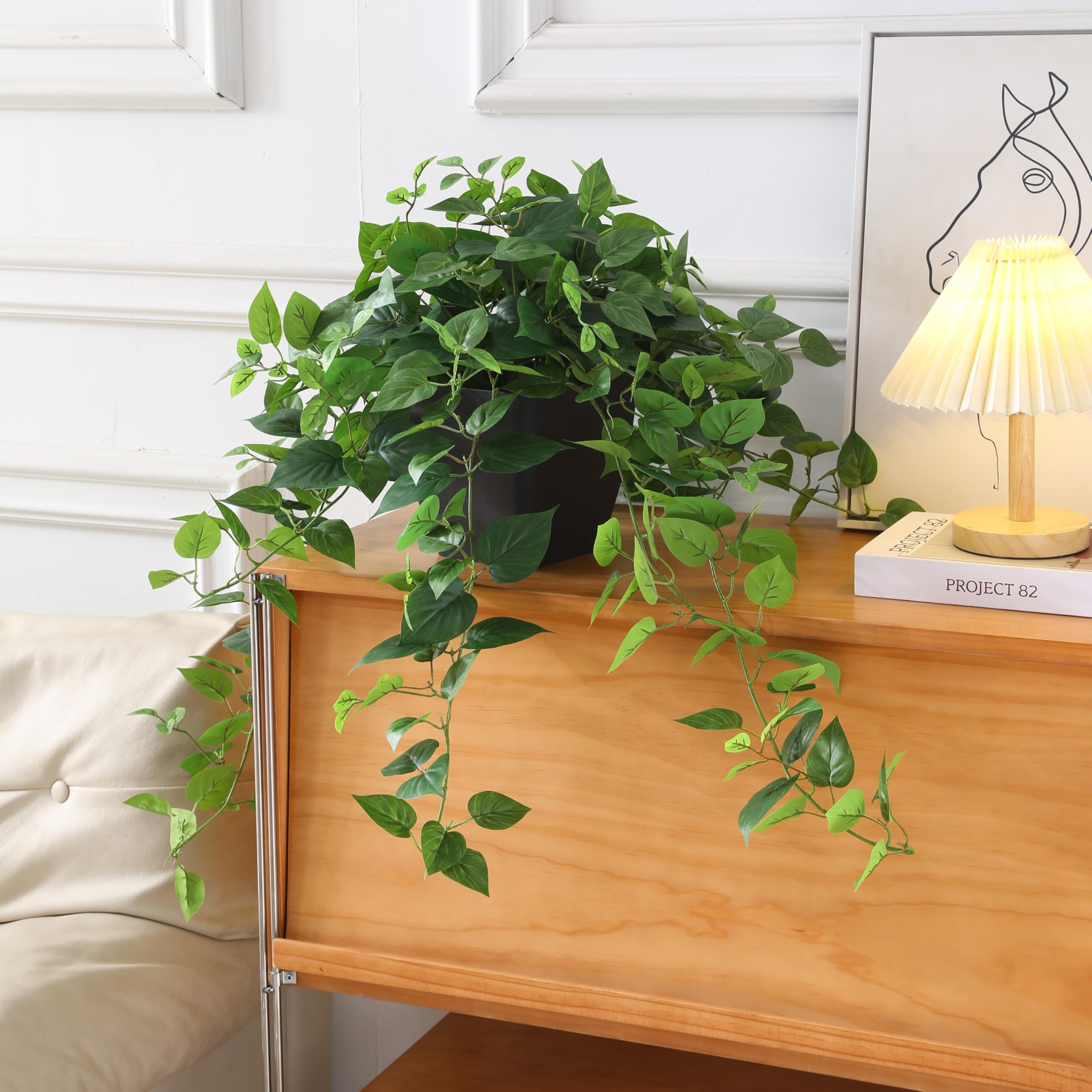 365 Blooming Decor Pothos Ivy requires no maintenance for busy homes.