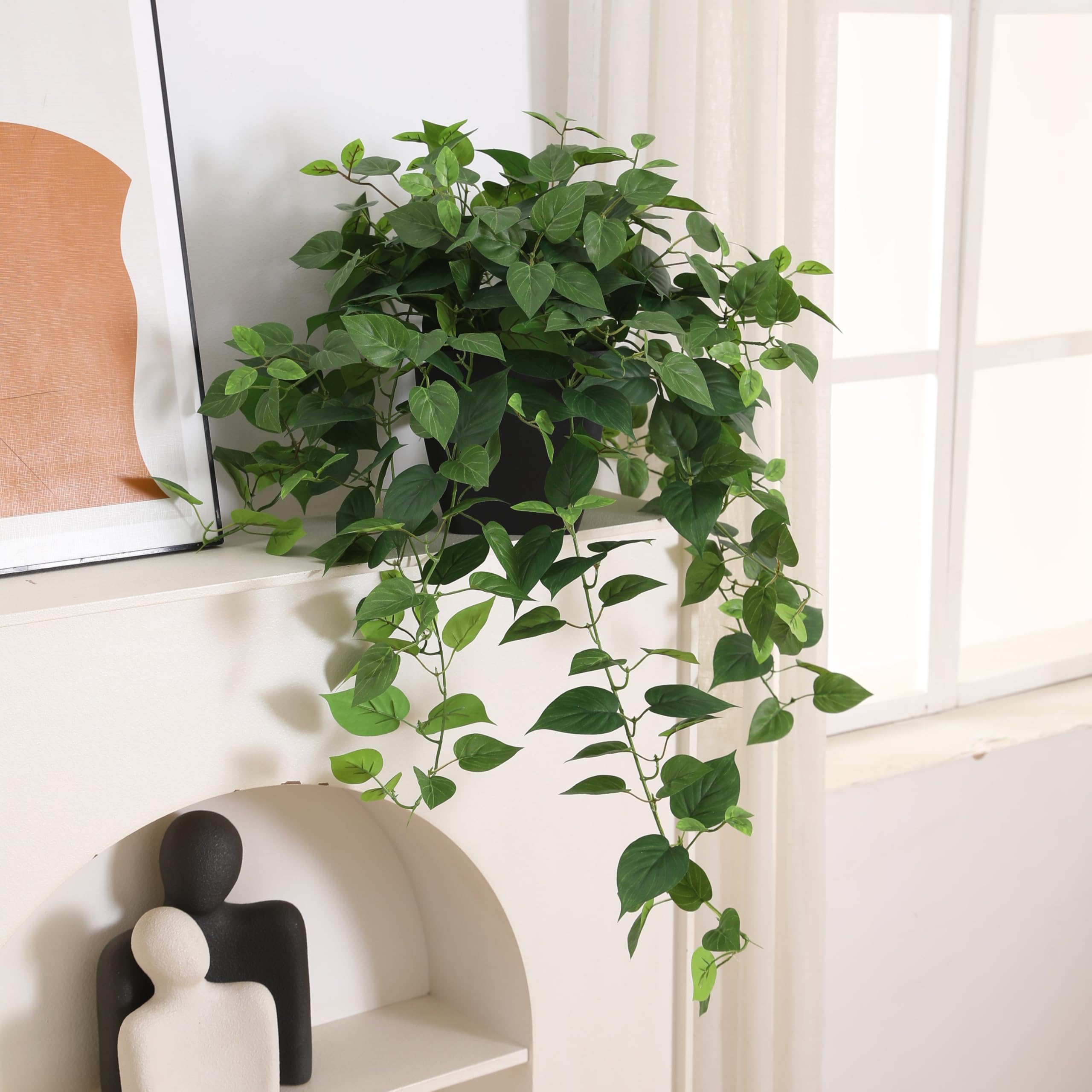 365 Blooming Decor Pothos Ivy performs well in sun or shade.